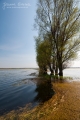 099_Biebrza - kwiecien 2011
